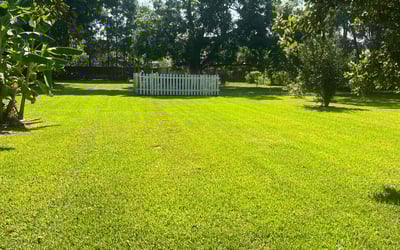 Photo of Michelle G.'s yard after getting lawn care in Breaux Bridge, LA