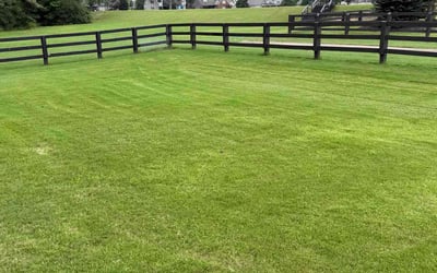 Photo of Stephen F.'s yard after getting lawn care in Cookeville, TN