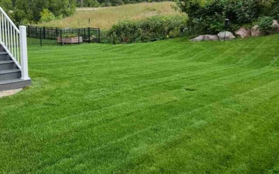Photo of Carol M.'s yard after getting lawn care in Chanhassen, MN