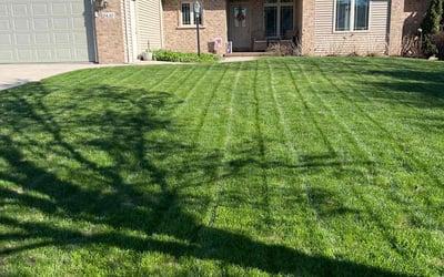Photo of Michael K.'s yard after getting lawn care in Capitol Heights, MD