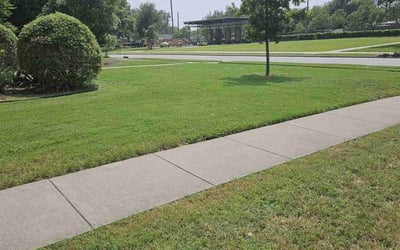 Photo of Duncan W.'s yard after getting lawn care in Arlington Heights, IL