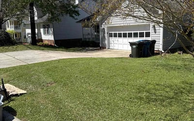 Photo of Joe W.'s yard after getting lawn care in Sunset Beach, NC