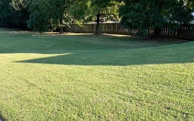 Photo of catrina r.'s yard after getting lawn care in Dallas, GA