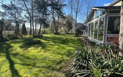 Photo of Savannah P.'s yard after getting lawn care in Fredericksburg, VA
