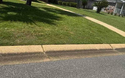 Photo of Armando M.'s yard after getting lawn care in Waynesboro, VA