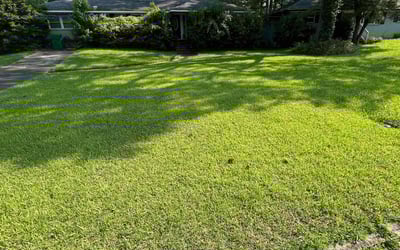 Photo of Ronnica W.'s yard after getting lawn care in Forest Park, GA