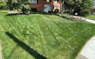 Photo of Demetrius C.'s yard after getting lawn care in Arlington, VA