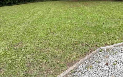 Photo of Aleta O.'s yard after getting lawn care in Latham, NY
