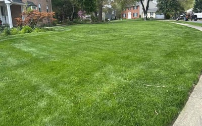 Photo of Mike b.'s yard after getting lawn care in Blue Bell, PA