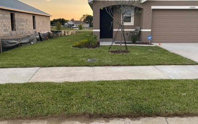 Photo of Michael B.'s yard after getting lawn care in Dade City, FL