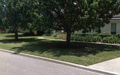 Photo of Jocelyn S.'s yard after getting lawn care in Racine, WI