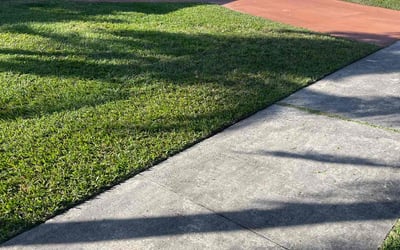 Photo of Nicole B.'s yard after getting lawn care in Miami, FL