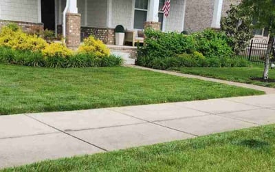 Photo of Evan N.'s yard after getting lawn care in Hendersonville, TN