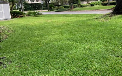Photo of Cynthia O.'s yard after getting lawn care in Richmond, TX