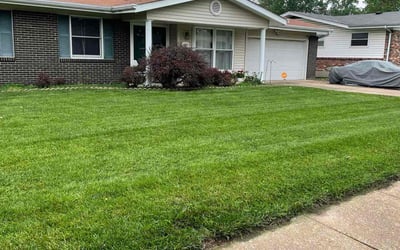 Photo of Maria D.'s yard after getting lawn care in Thibodaux, LA