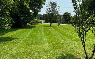 Photo of Gena M.'s yard after getting lawn care in Portage, WI