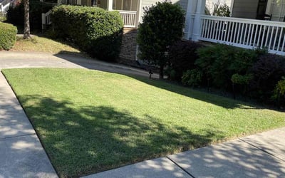 Photo of Pat C.'s yard after getting lawn care in Atlanta, GA
