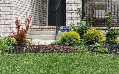 Photo of Constance L.'s yard after getting lawn care in White House, TN