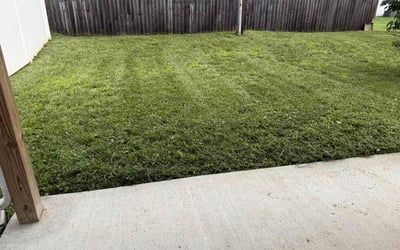 Photo of Arun J.'s yard after getting lawn care in Rocky Hill, CT