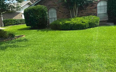 Photo of Lakshnanrao R.'s yard after getting lawn care in Gulfport, MS