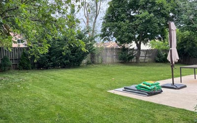 Photo of Daniel F.'s yard after getting lawn care in King Of Prussia, PA