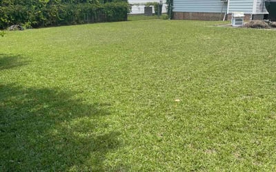 Photo of Lisa H.'s yard after getting lawn care in Pennsauken, NJ
