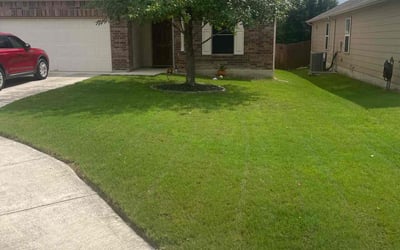 Photo of Andrew N.'s yard after getting lawn care in Deer Park, NY