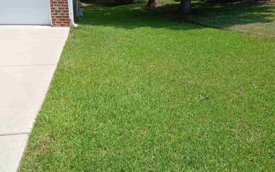 Photo of Robert M.'s yard after getting lawn care in Minneapolis, MN