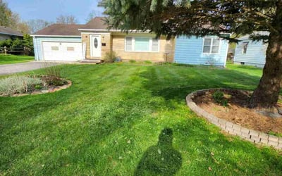 Photo of Pat M.'s yard after getting lawn care in Mentor, OH