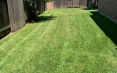 Photo of Beverly L.'s yard after getting lawn care in Hendersonville, NC