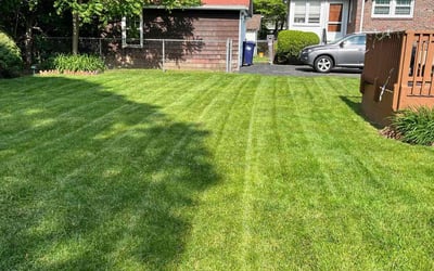 Photo of Corrie M.'s yard after getting lawn care in Garner, NC