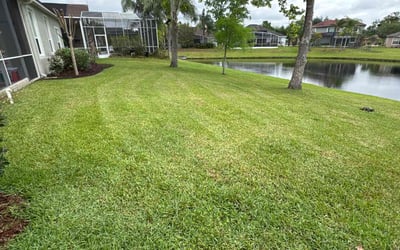 Photo of Greg D.'s yard after getting lawn care in Orlando, FL