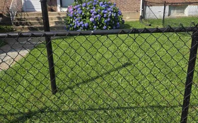 Photo of Jennifer H.'s yard after getting lawn care in Jasper, GA