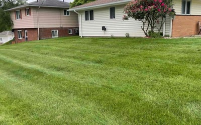 Photo of Michael T.'s yard after getting lawn care in Dacula, GA