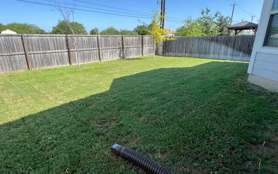Photo of Fred S.'s yard after getting lawn care in Universal City, TX