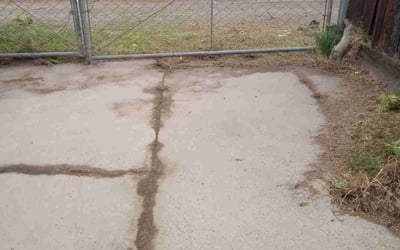 Photo of Laura C.'s yard after getting lawn care in Roseville, MN