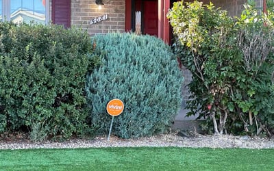 Photo of Aaron B.'s yard after getting lawn care in Louisville, CO