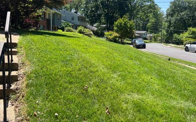 Photo of Jared T.'s yard after getting lawn care in Vienna, VA