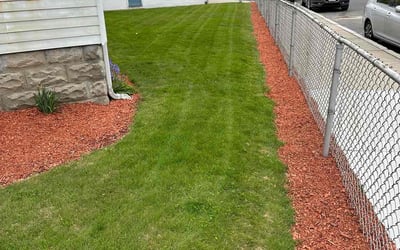 Photo of Paul S.'s yard after getting lawn care in Everett, MA