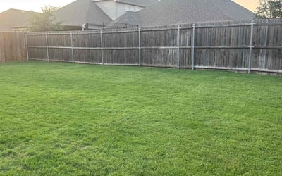 Photo of Donel D.'s yard after getting lawn care in Arcadia, CA