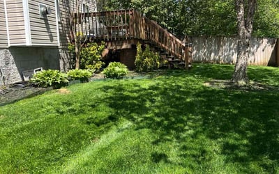 Photo of Jean F.'s yard after getting lawn care in Ashland City, TN