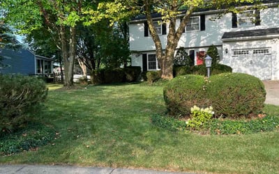 Photo of Kathleen F.'s yard after getting lawn care in Brunswick, OH
