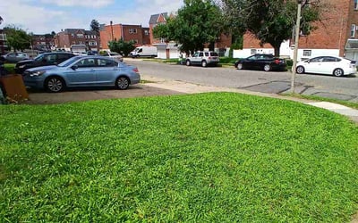 Photo of Debra W.'s yard after getting lawn care in Chester, PA