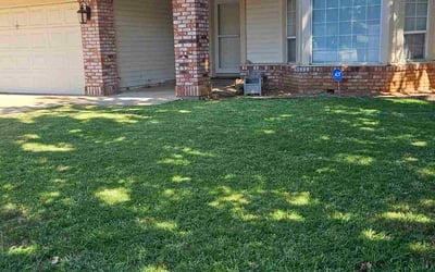 Photo of Victoria C.'s yard after getting lawn care in Pasadena, TX