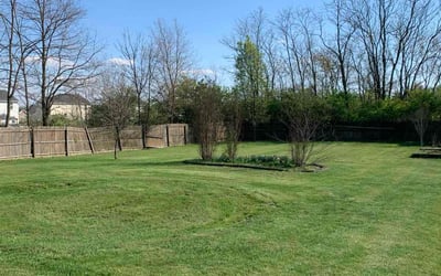 Photo of Shane V.'s yard after getting lawn care in Saint Albans, WV