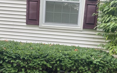 Photo of Cathy L.'s yard after getting tree care in Montgomery Village, MD