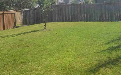 Photo of Adan L.'s yard after getting lawn care in Newnan, GA