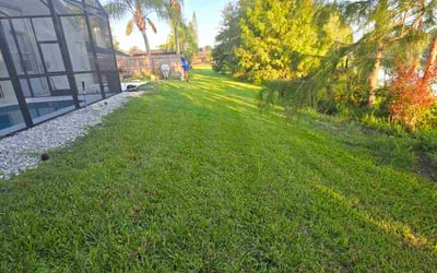 Photo of Devin U.'s yard after getting lawn care in Clairton, PA