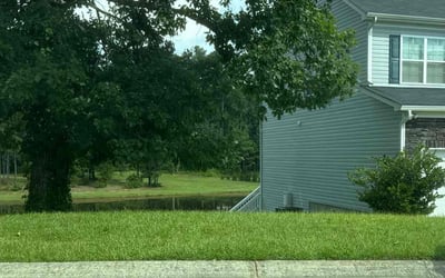 Photo of Steve L.'s yard after getting lawn care in Columbia, SC