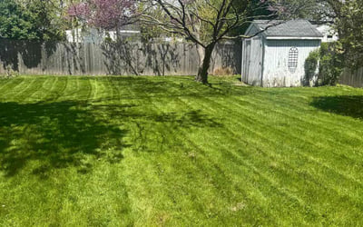 Photo of Kevin M.'s yard after getting lawn care in Cedar Rapids, IA